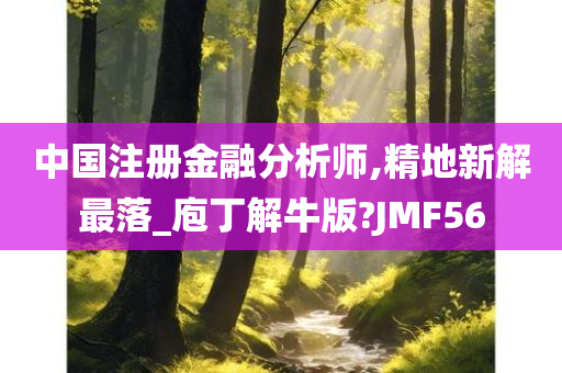 中国注册金融分析师,精地新解最落_庖丁解牛版?JMF56