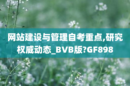 网站建设与管理自考重点,研究权威动态_BVB版?GF898