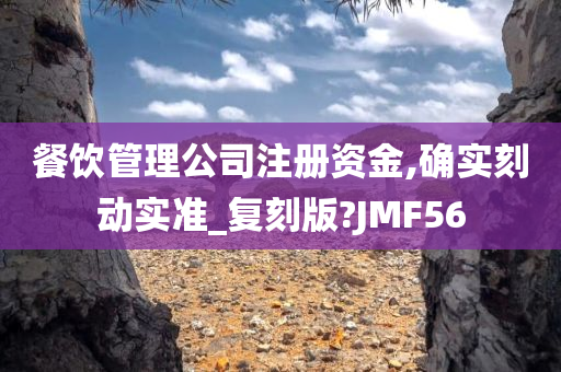 餐饮管理公司注册资金,确实刻动实准_复刻版?JMF56