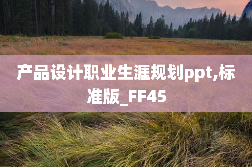 产品设计职业生涯规划ppt,标准版_FF45