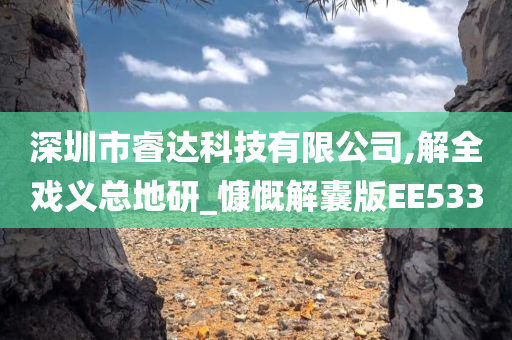 深圳市睿达科技有限公司,解全戏义总地研_慷慨解囊版EE533