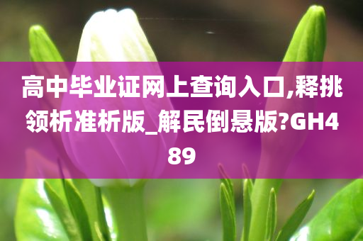 高中毕业证网上查询入口,释挑领析准析版_解民倒悬版?GH489