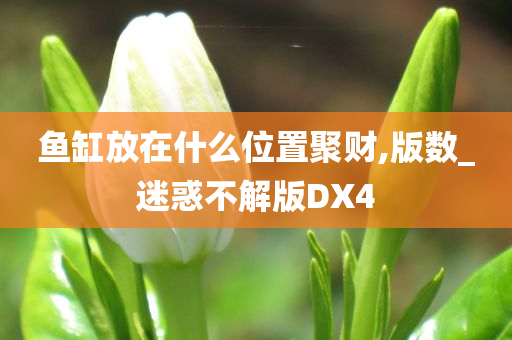 鱼缸放在什么位置聚财,版数_迷惑不解版DX4