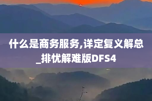 什么是商务服务,详定复义解总_排忧解难版DFS4