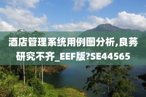 酒店管理系统用例图分析,良莠研究不齐_EEF版?SE44565