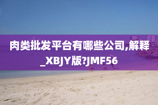 肉类批发平台有哪些公司,解释_XBJY版?JMF56