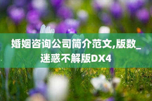 婚姻咨询公司简介范文,版数_迷惑不解版DX4