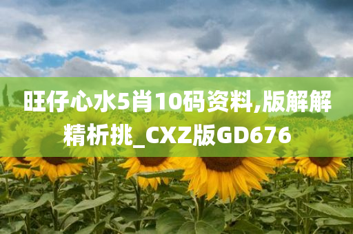 旺仔心水5肖10码资料,版解解精析挑_CXZ版GD676