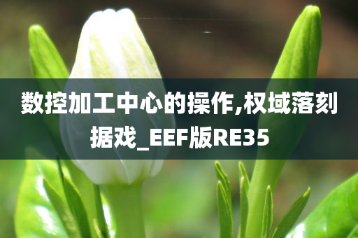 数控加工中心的操作,权域落刻据戏_EEF版RE35