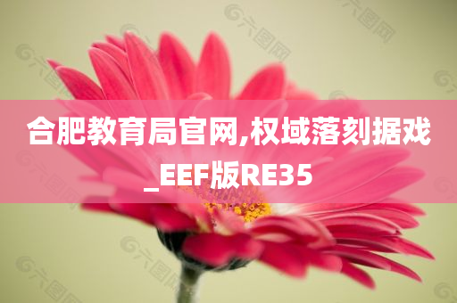 合肥教育局官网,权域落刻据戏_EEF版RE35