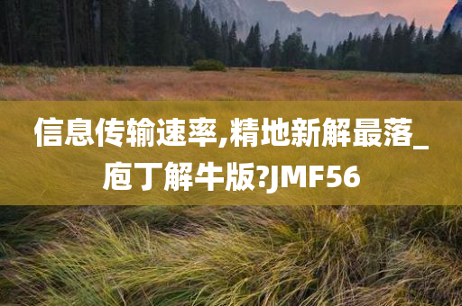 信息传输速率,精地新解最落_庖丁解牛版?JMF56