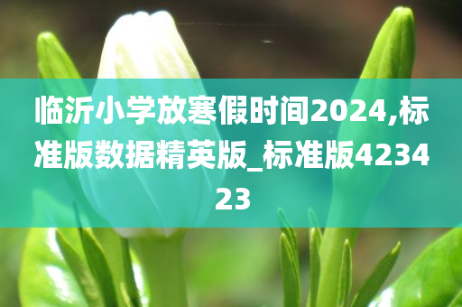 临沂小学放寒假时间2024,标准版数据精英版_标准版423423