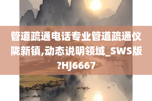 管道疏通电话专业管道疏通仪陇新镇,动态说明领域_SWS版?HJ6667