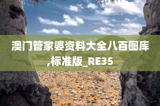 澳门管家婆资料大全八百图库,标准版_RE35