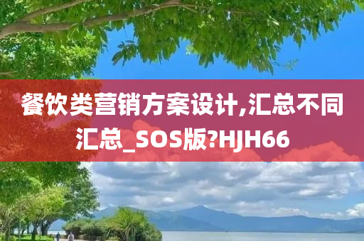 餐饮类营销方案设计,汇总不同汇总_SOS版?HJH66