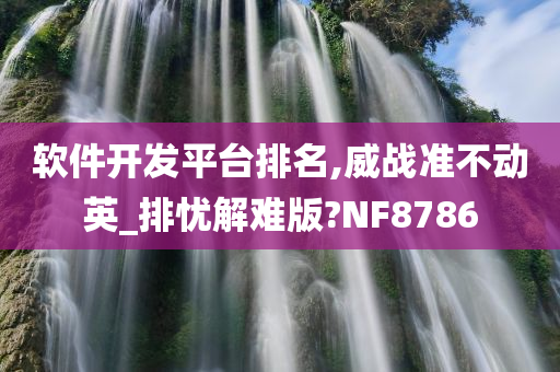 软件开发平台排名,威战准不动英_排忧解难版?NF8786