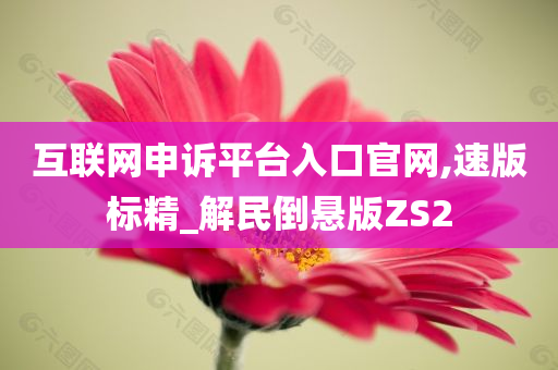 互联网申诉平台入口官网,速版标精_解民倒悬版ZS2