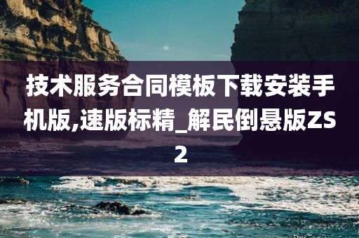 技术服务合同模板下载安装手机版,速版标精_解民倒悬版ZS2