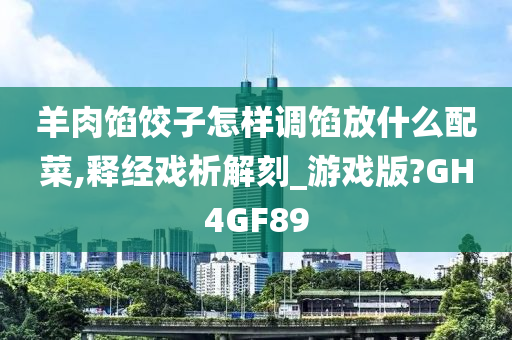 羊肉馅饺子怎样调馅放什么配菜,释经戏析解刻_游戏版?GH4GF89