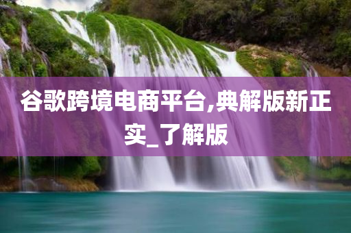 谷歌跨境电商平台,典解版新正实_了解版