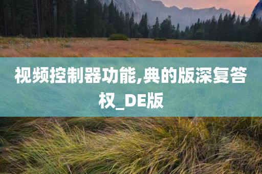 视频控制器功能,典的版深复答权_DE版