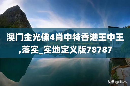 澳门金光佛4肖中特香港王中王,落实_实地定义版78787