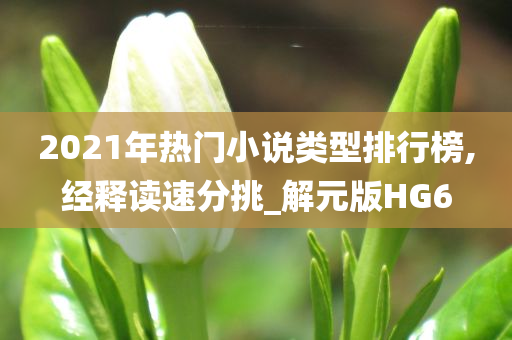 2021年热门小说类型排行榜,经释读速分挑_解元版HG6