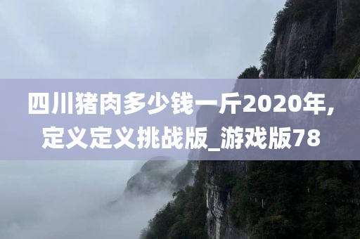 四川猪肉多少钱一斤2020年,定义定义挑战版_游戏版78