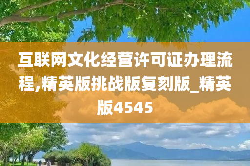 互联网文化经营许可证办理流程,精英版挑战版复刻版_精英版4545