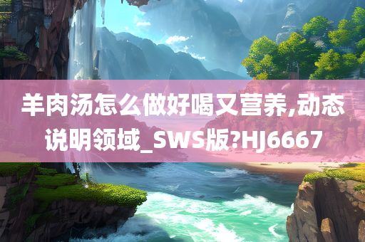 羊肉汤怎么做好喝又营养,动态说明领域_SWS版?HJ6667