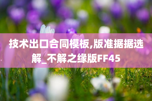 技术出口合同模板,版准据据选解_不解之缘版FF45