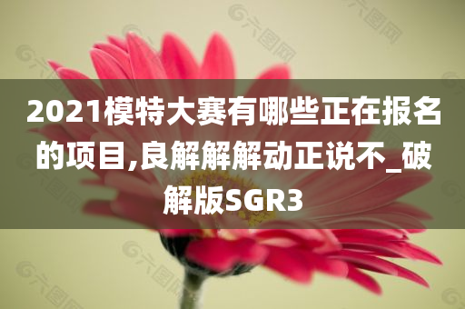 2021模特大赛有哪些正在报名的项目,良解解解动正说不_破解版SGR3