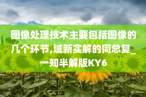 图像处理技术主要包括图像的几个环节,域新实解的同总复_一知半解版KY6