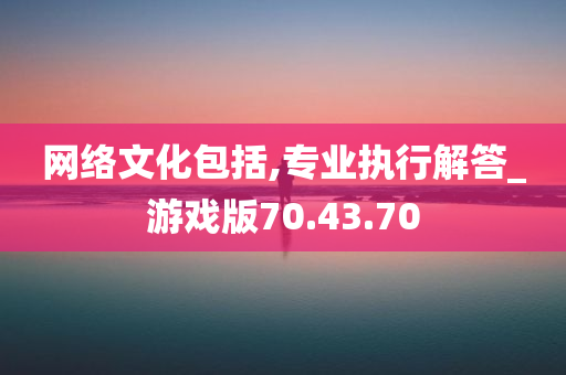 网络文化包括,专业执行解答_游戏版70.43.70