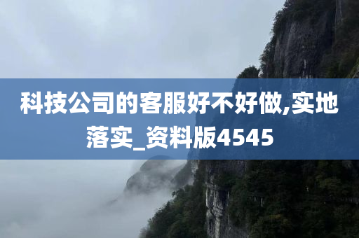 科技公司的客服好不好做,实地落实_资料版4545