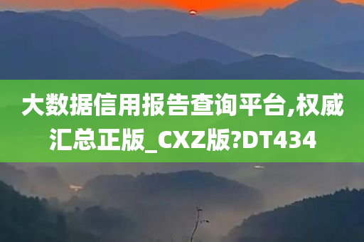 大数据信用报告查询平台,权威汇总正版_CXZ版?DT434