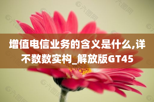 增值电信业务的含义是什么,详不数数实构_解放版GT45