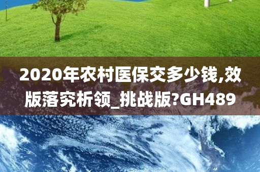 2020年农村医保交多少钱,效版落究析领_挑战版?GH489