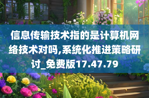 信息传输技术指的是计算机网络技术对吗,系统化推进策略研讨_免费版17.47.79