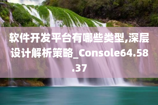 软件开发平台有哪些类型,深层设计解析策略_Console64.58.37