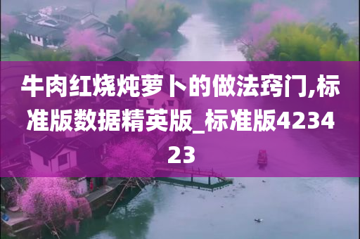 牛肉红烧炖萝卜的做法窍门,标准版数据精英版_标准版423423