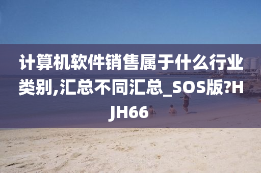 计算机软件销售属于什么行业类别,汇总不同汇总_SOS版?HJH66