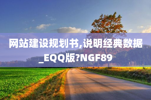 网站建设规划书,说明经典数据_EQQ版?NGF89