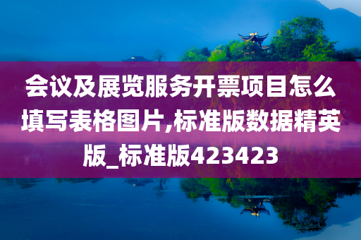 会议及展览服务开票项目怎么填写表格图片,标准版数据精英版_标准版423423