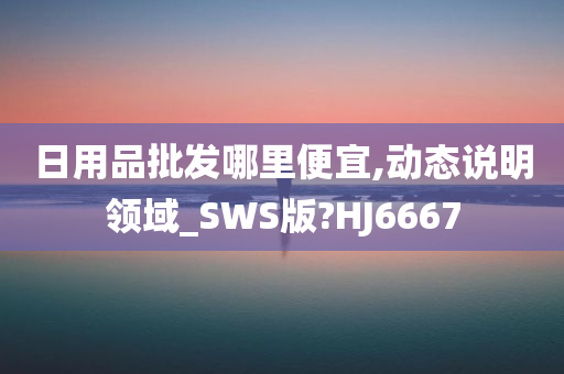 日用品批发哪里便宜,动态说明领域_SWS版?HJ6667