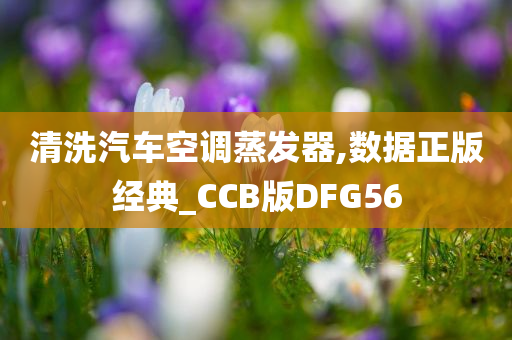 清洗汽车空调蒸发器,数据正版经典_CCB版DFG56