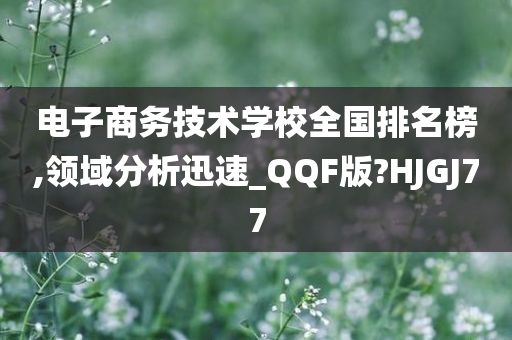 电子商务技术学校全国排名榜,领域分析迅速_QQF版?HJGJ77