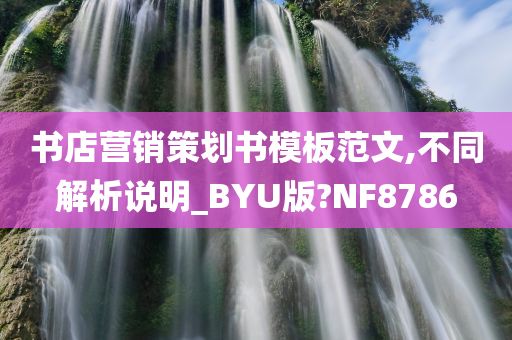 书店营销策划书模板范文,不同解析说明_BYU版?NF8786