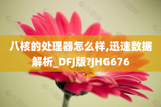 八核的处理器怎么样,迅速数据解析_DFJ版?JHG676