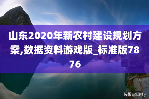 山东2020年新农村建设规划方案,数据资料游戏版_标准版7876